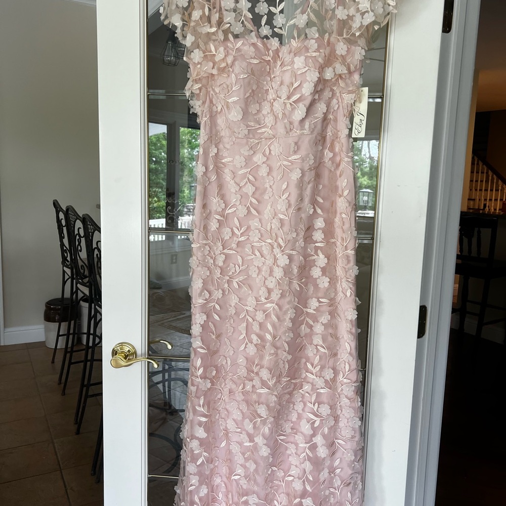 Eliza J blush formal dress Mother of the bride/Bridesmaid dress